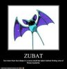 zubatCH.jpg