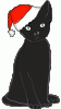 CristmasCat.gif