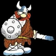 Erik the Viking Gamer