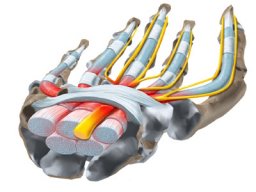 CarpalTony
