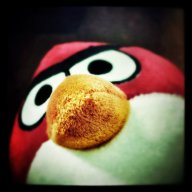 treasure