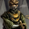 Wildonion